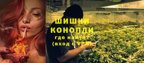 PSILOCYBIN Алексеевка