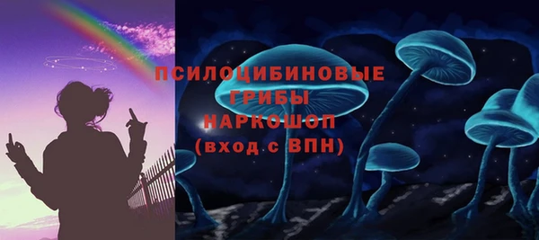 PSILOCYBIN Алексеевка