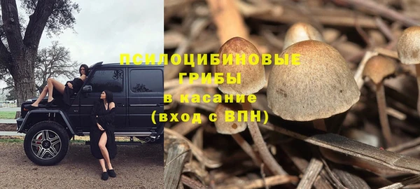PSILOCYBIN Алексеевка